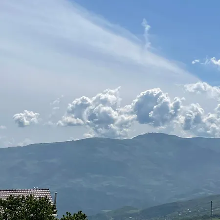 Tomorrow Villa Berat